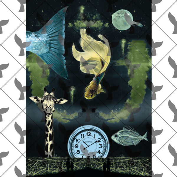 Time 5